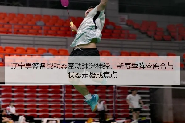 辽宁男篮备战动态牵动球迷神经，新赛季阵容磨合与状态走势成焦点